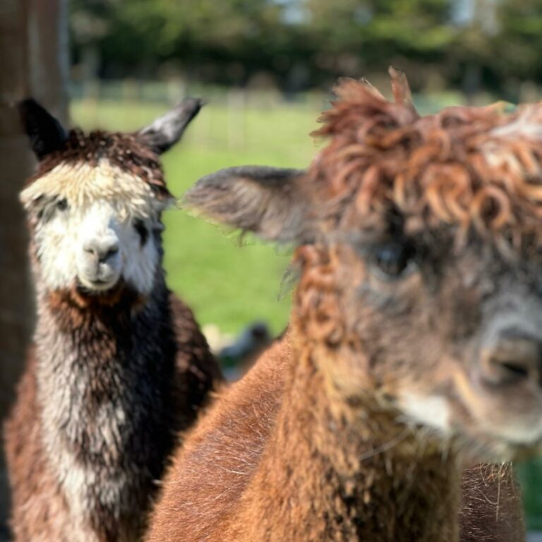 WhatsApp Image 2025-09-03 at 15.00.07 WhatsApp Image 2025-09-03 at 15.00.07