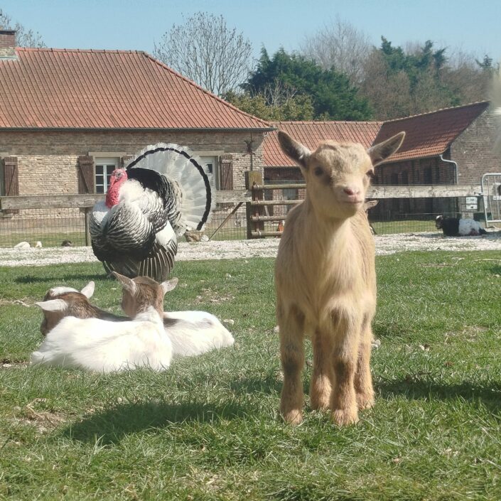 WhatsApp Image 2025-09-03 at 15.00.39 WhatsApp Image 2025-09-03 at 15.00.39